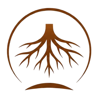 Root